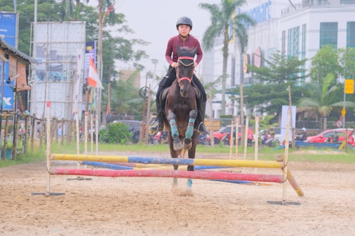 A person is riding a horse that is jumping over a colorful hurdle on a sandy track. The rider is wearing a helmet and a maroon top. In the background, there are signs of an urban area with buildings and parked vehicles next to some greenery including palm trees.