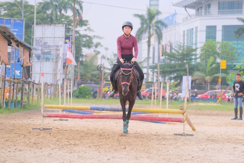 A person is riding a horse that is jumping over a series of colored poles. The rider is wearing a helmet and boots and is positioned in the center of the image while in the background there are buildings, billboards, and trees. Spectators and other people can be seen in the vicinity.