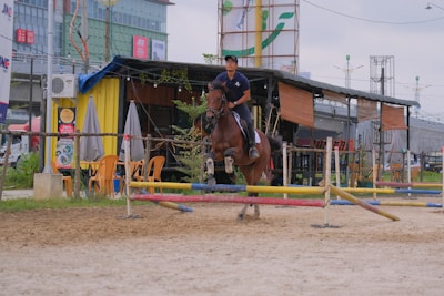 A person is riding a horse, jumping over a set of colorful hurdles in an outdoor equestrian setting. Behind the horse, there is a casual dining area with tables, chairs, and umbrellas. The background features a building with commercial signage and a street with vehicles.