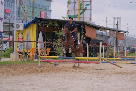 A person is riding a horse, jumping over a set of colorful hurdles in an outdoor equestrian setting. Behind the horse, there is a casual dining area with tables, chairs, and umbrellas. The background features a building with commercial signage and a street with vehicles.