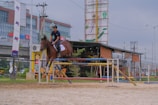 A person is riding a horse and jumping over an obstacle in an outdoor equestrian arena. The background includes a building with signage and various advertisements. There is a mixture of urban elements like a high-rise building, signboards, and street lights.