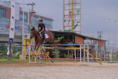 A person is riding a horse and jumping over an obstacle in an outdoor equestrian arena. The background includes a building with signage and various advertisements. There is a mixture of urban elements like a high-rise building, signboards, and street lights.