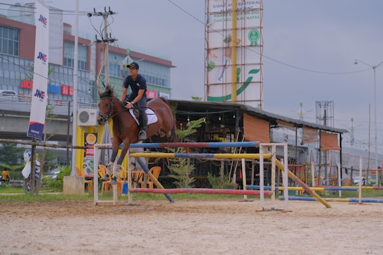 A person is riding a horse and jumping over an obstacle in an outdoor equestrian arena. The background includes a building with signage and various advertisements. There is a mixture of urban elements like a high-rise building, signboards, and street lights.