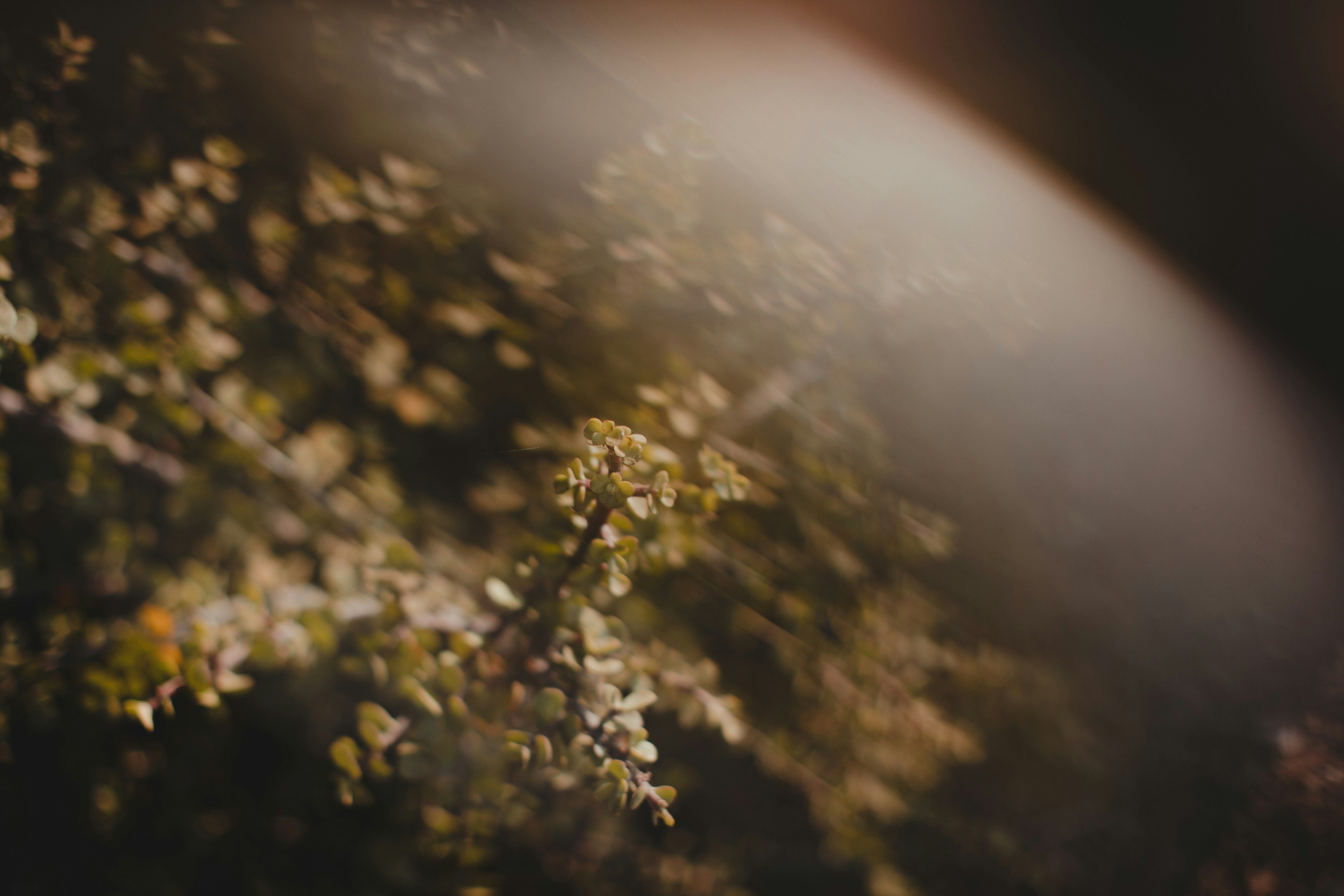 Photo by nick_vandervegt