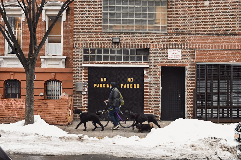 2 black horse with black horse on snow covered ground during daytime