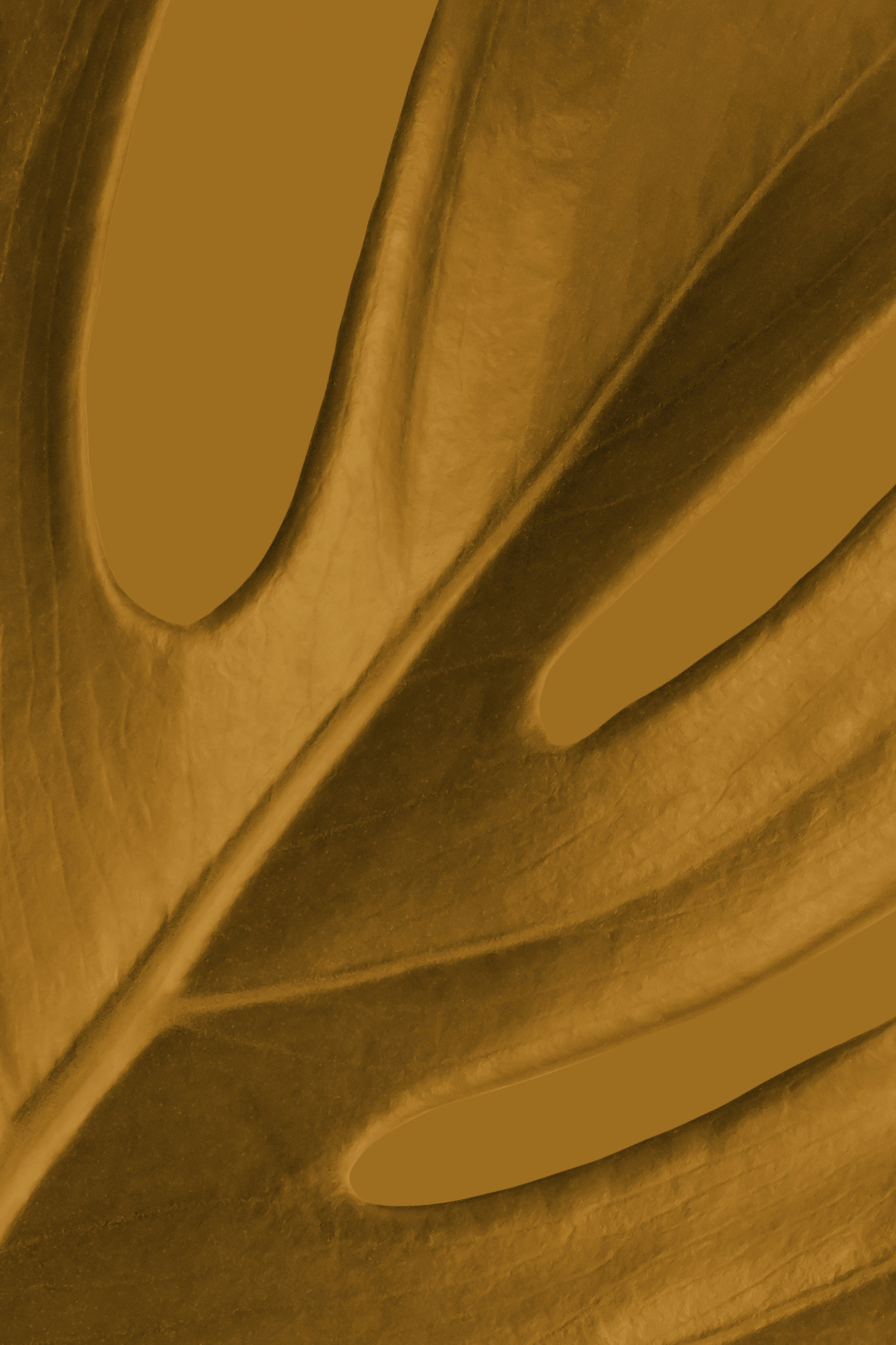 Beacons banner for @nezuko