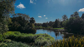 A calm outdoor scene with gentle natural light, symbolizing mental clarity and balance.