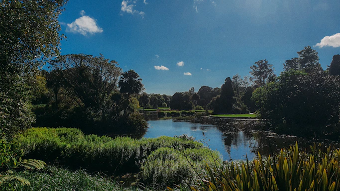 A serene water treatment facility surrounded by lush greenery under a clear blue sky.