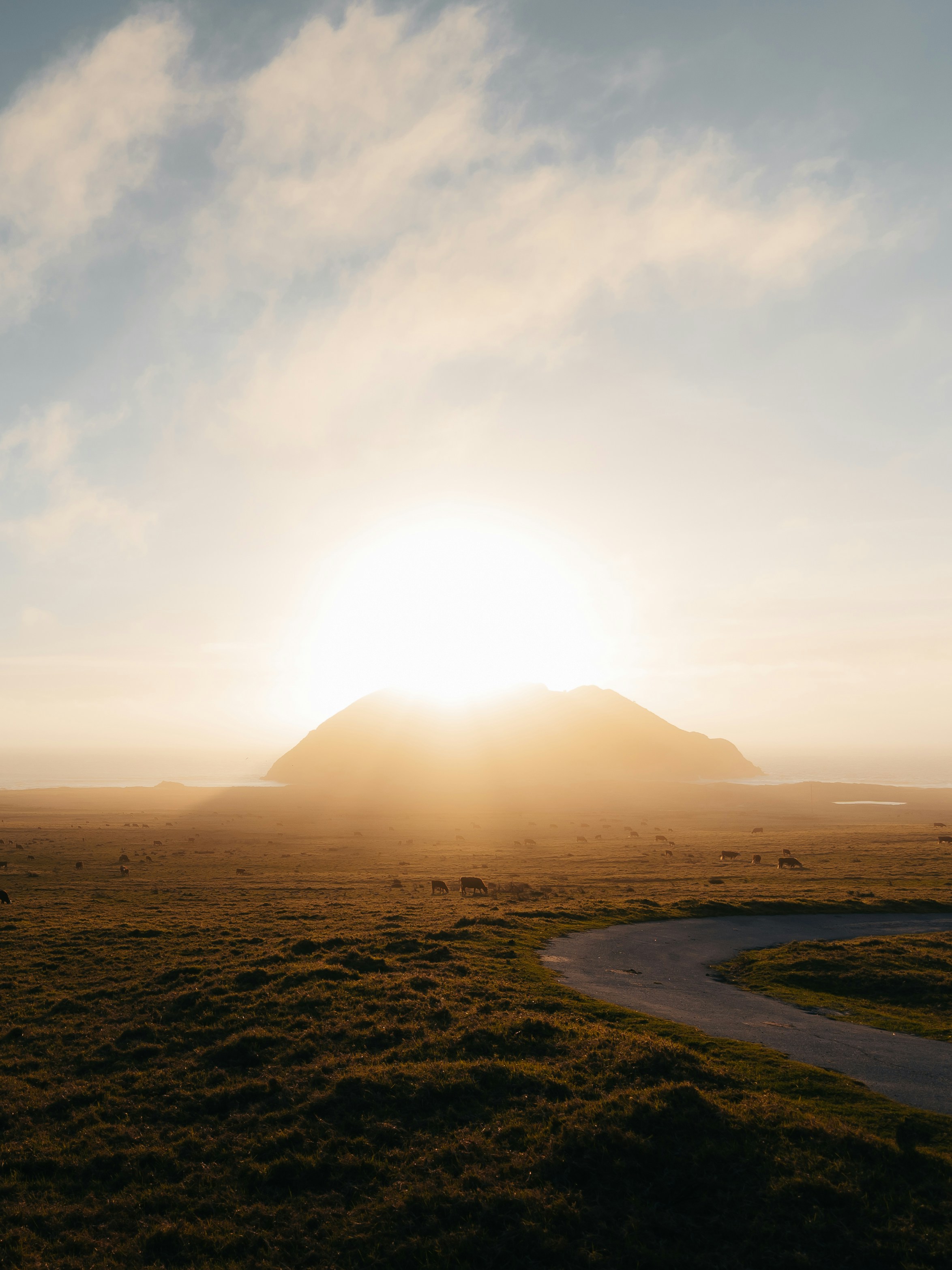 Photo by kalaniparker