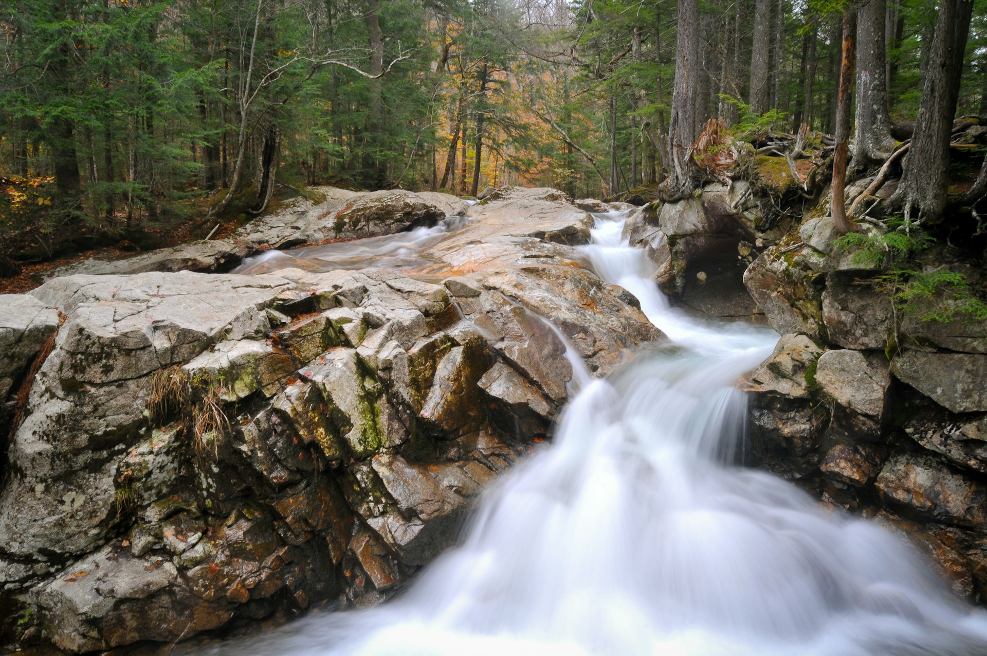 water falls in the middle of the forest
