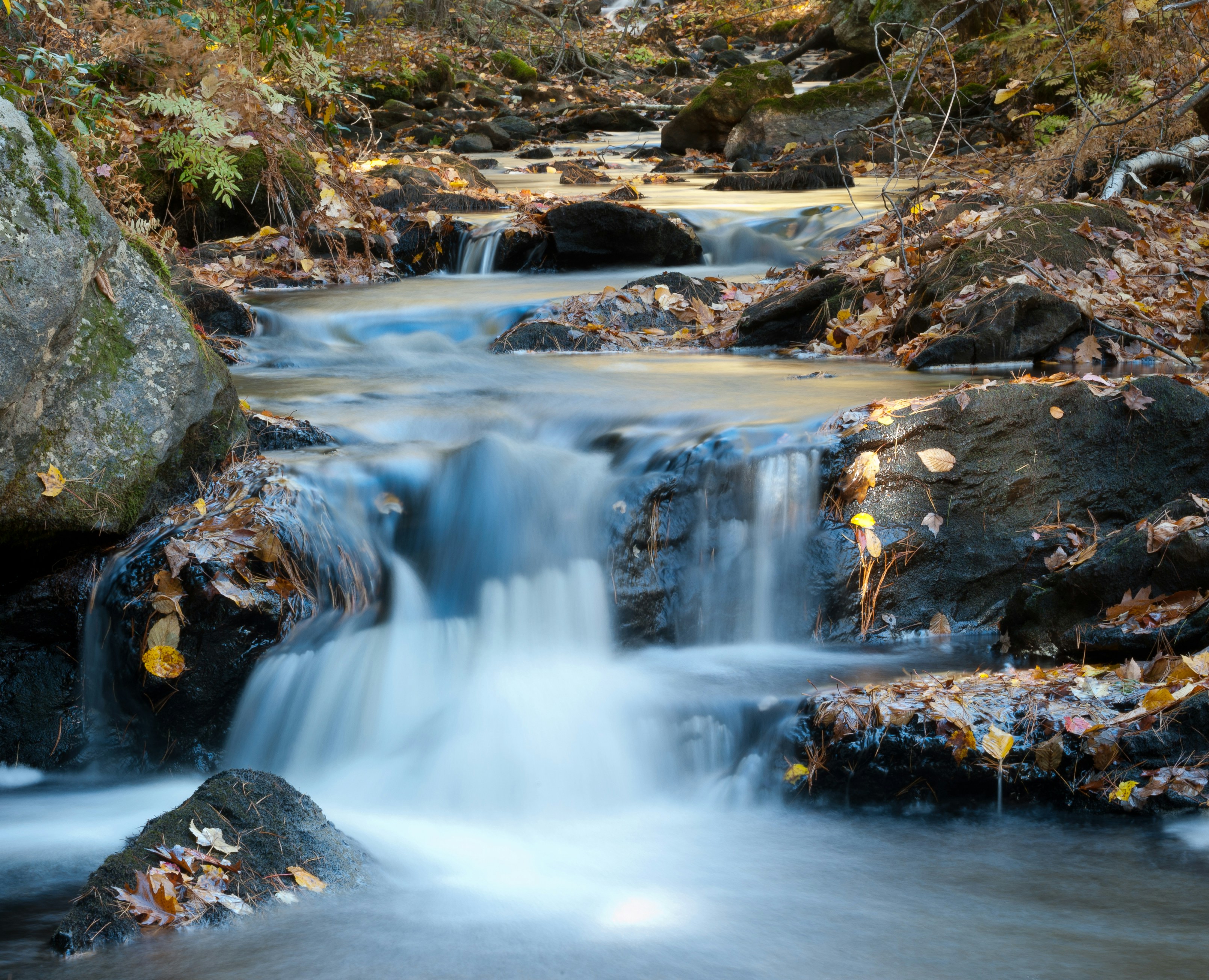 Photo by austriker27