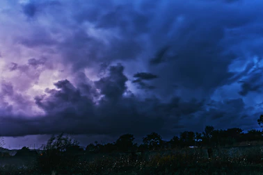 green trees under dark clouds
