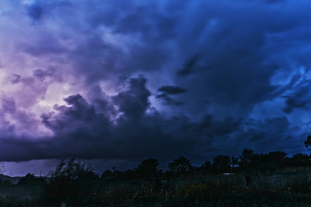 green trees under dark clouds