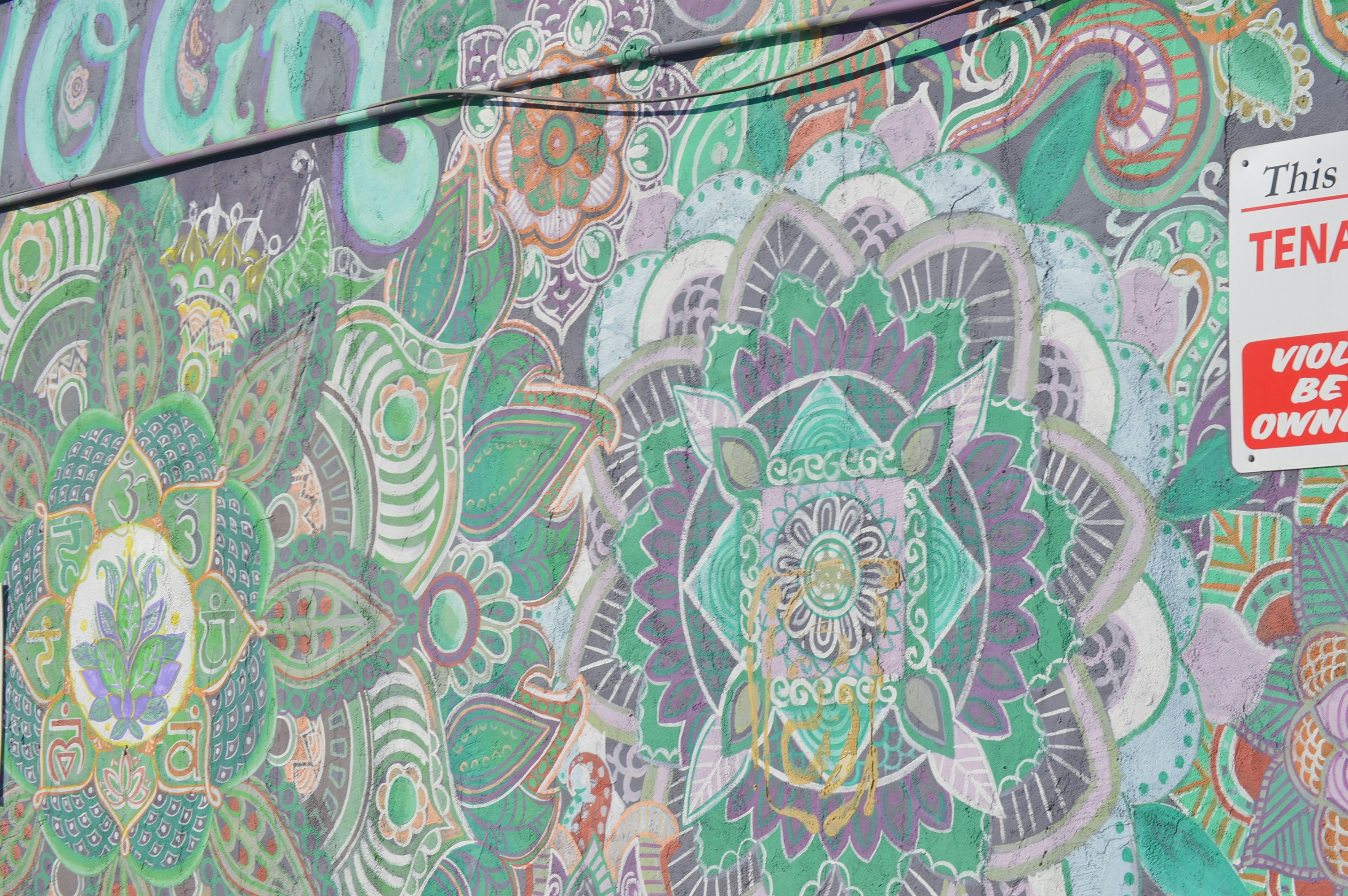 green white and purple floral textile