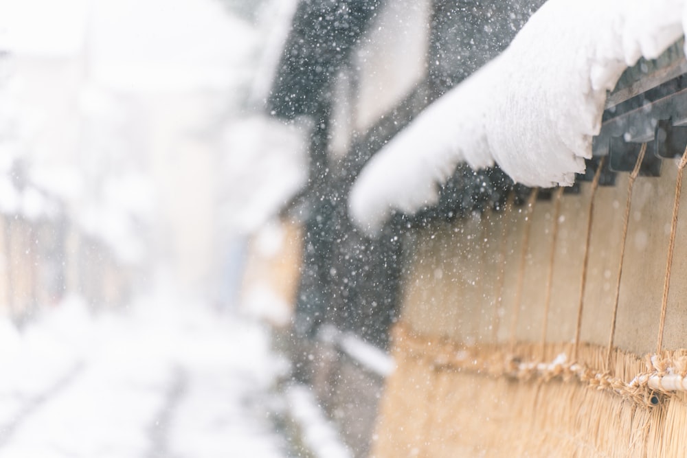 snow on brown wooden fence