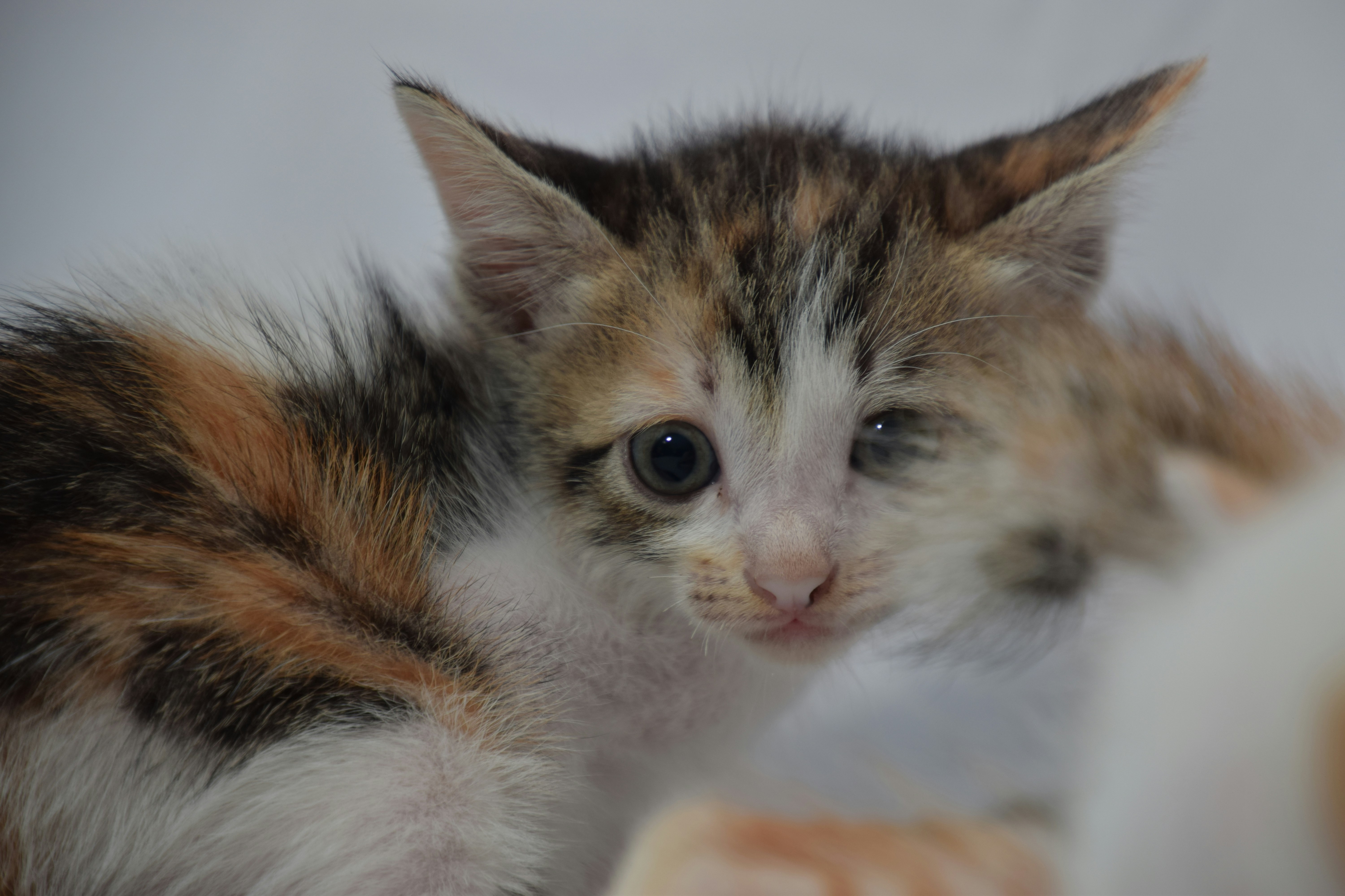 Photo by hydngallery