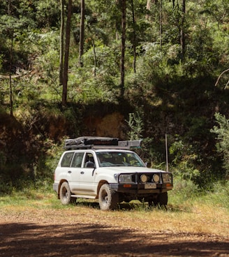 white suv parked near green trees during daytime