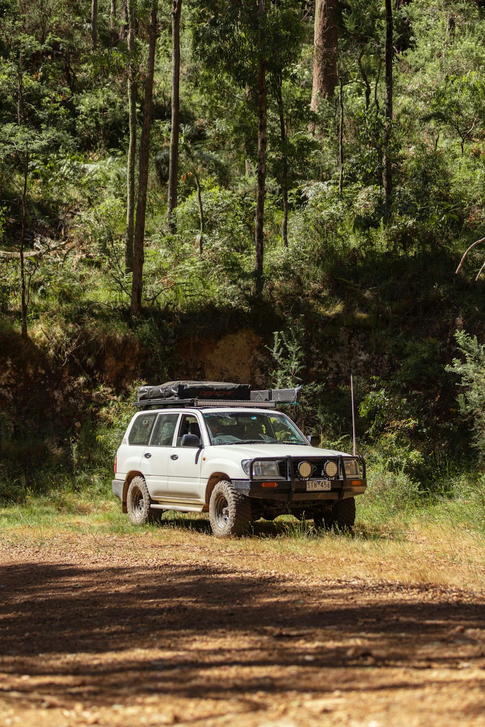 white suv parked near green trees during daytime