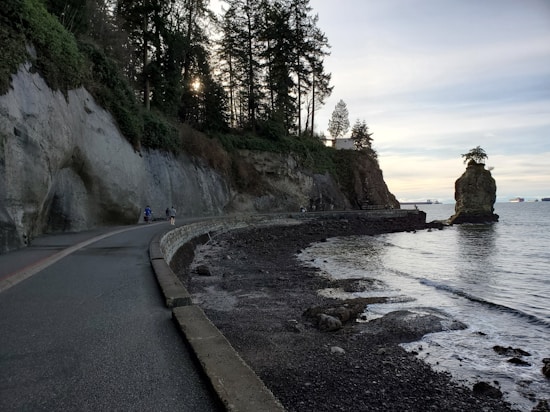 A coastal walking path runs alongside a rocky cliff covered in greenery, with tall trees silhouetted against the sky. The path curves around the coastline, leading towards a solitary rock formation standing in the water. Several people are seen walking or cycling along the path, enjoying the scenic view.