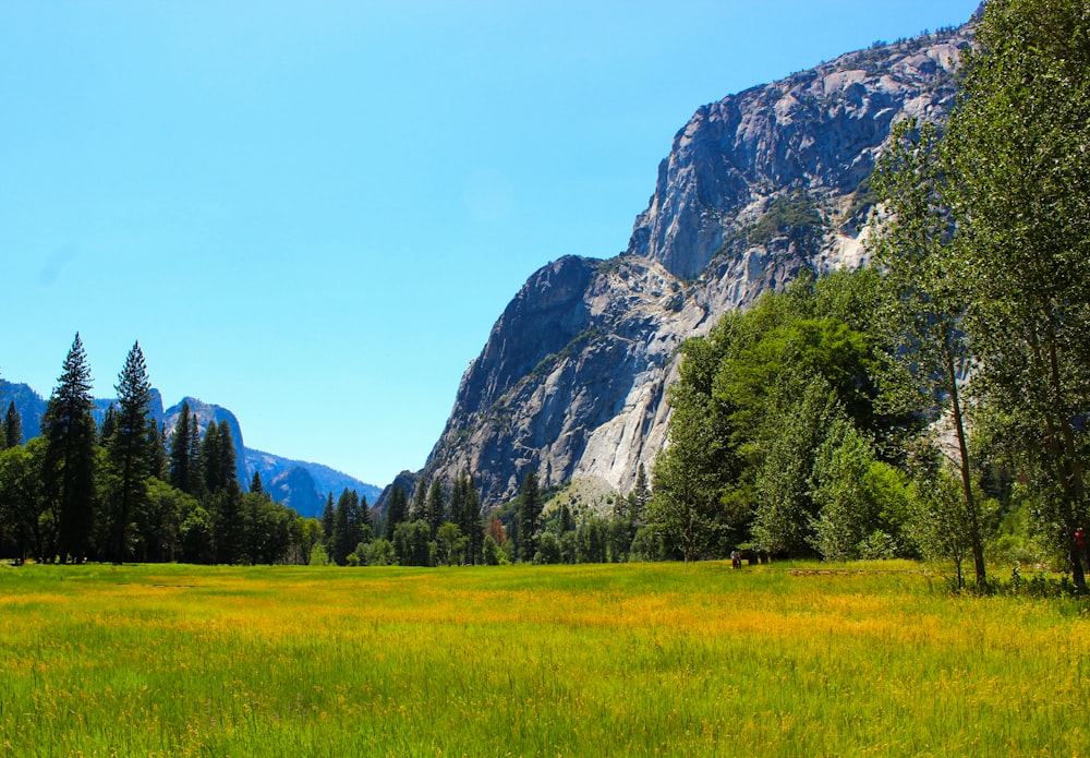 green grass field near gray rocky mountain during daytime