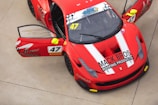 red and white ferrari sports car