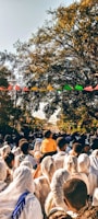 people sitting on green grass field during daytime