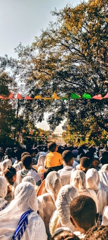 people sitting on green grass field during daytime