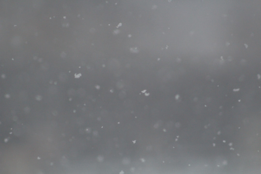 white and gray abstract painting, Snow