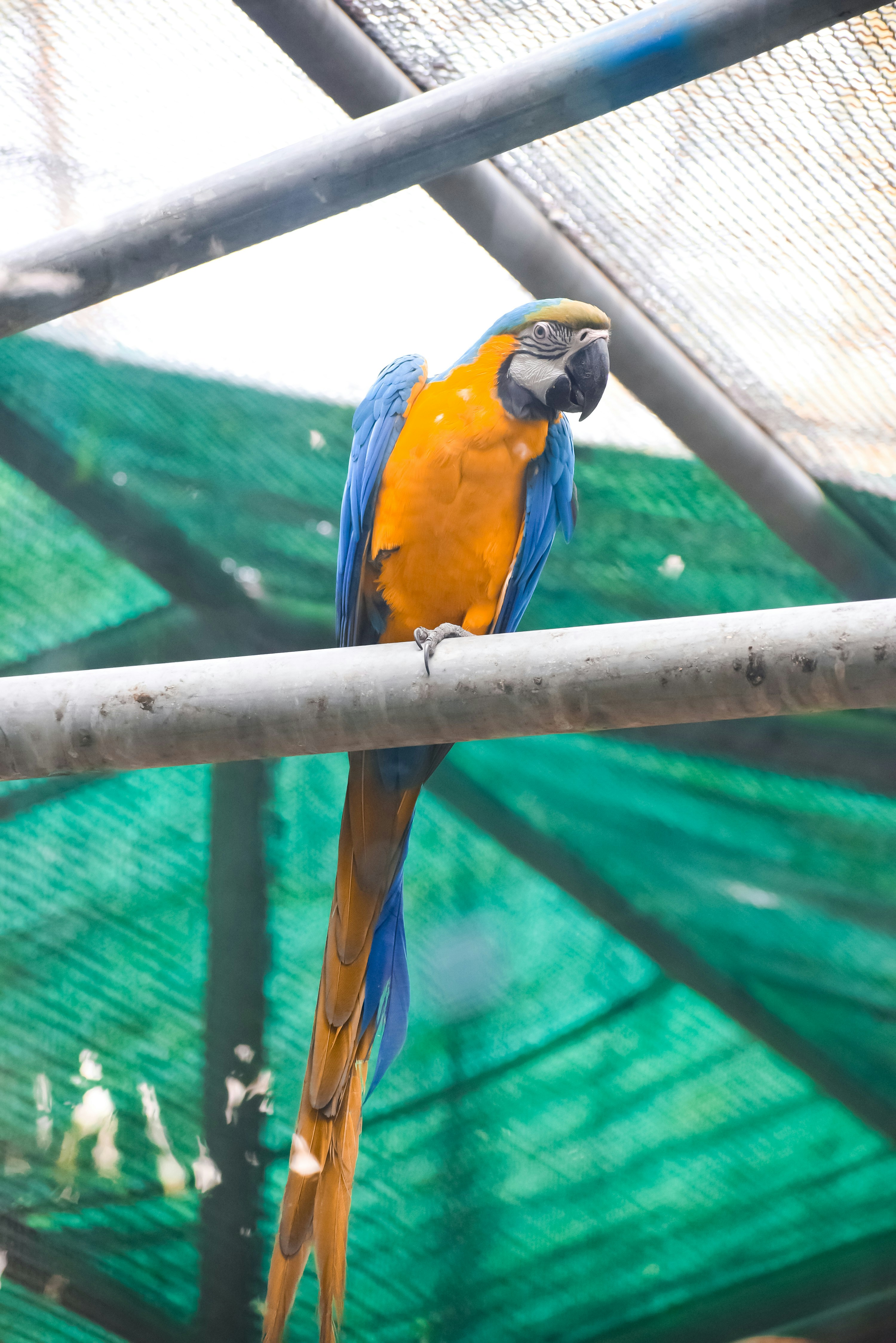 Photo by prateekjaiswal