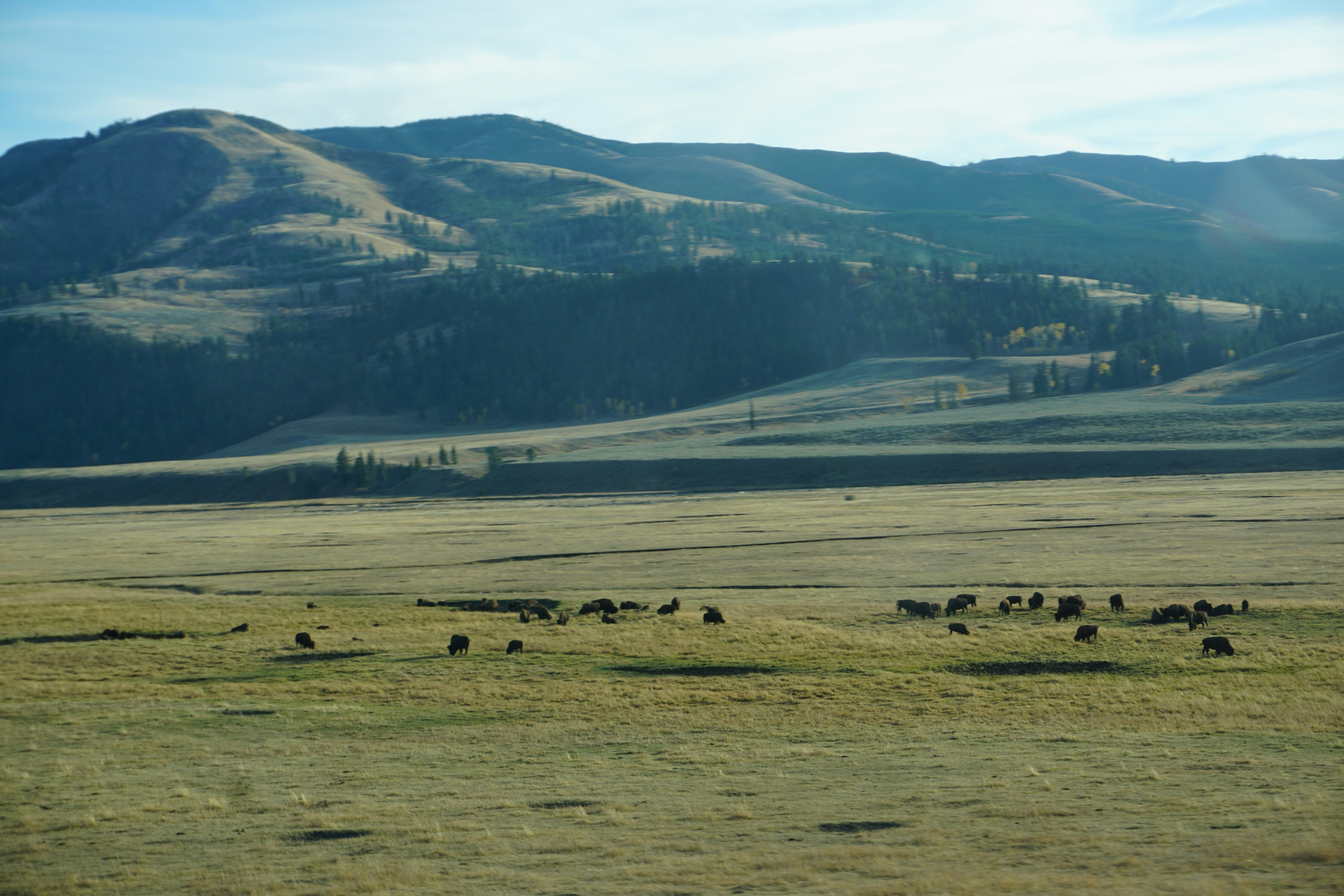 green grass field near mountain during daytime