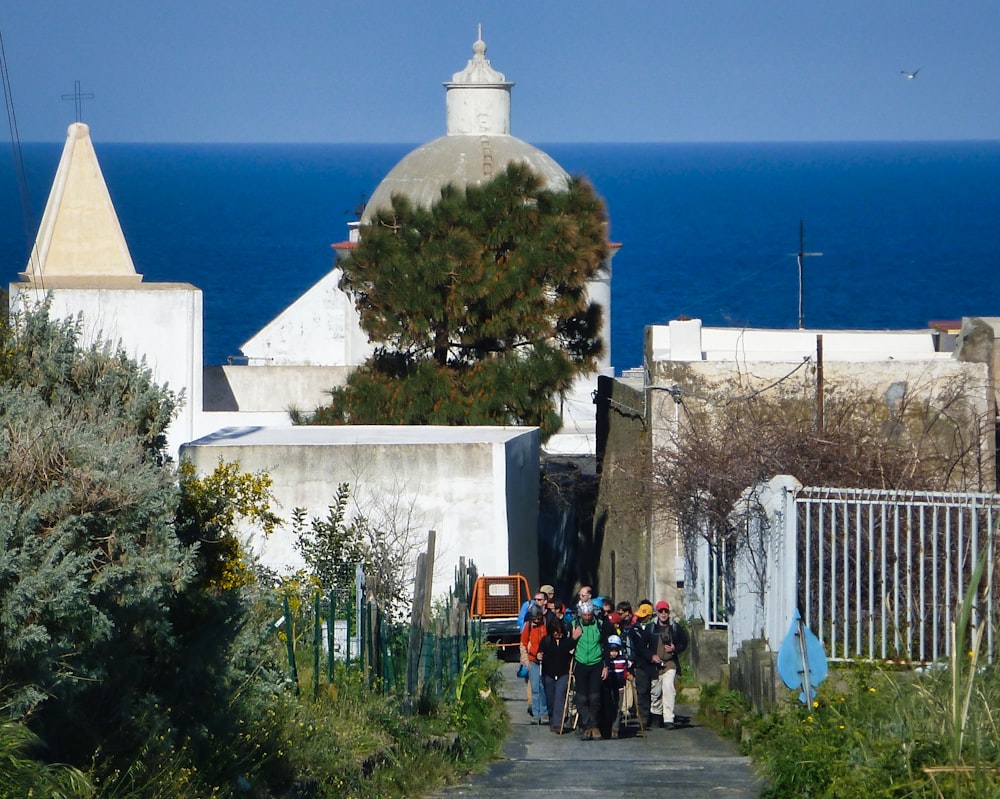 people walking on pathway near building during daytime