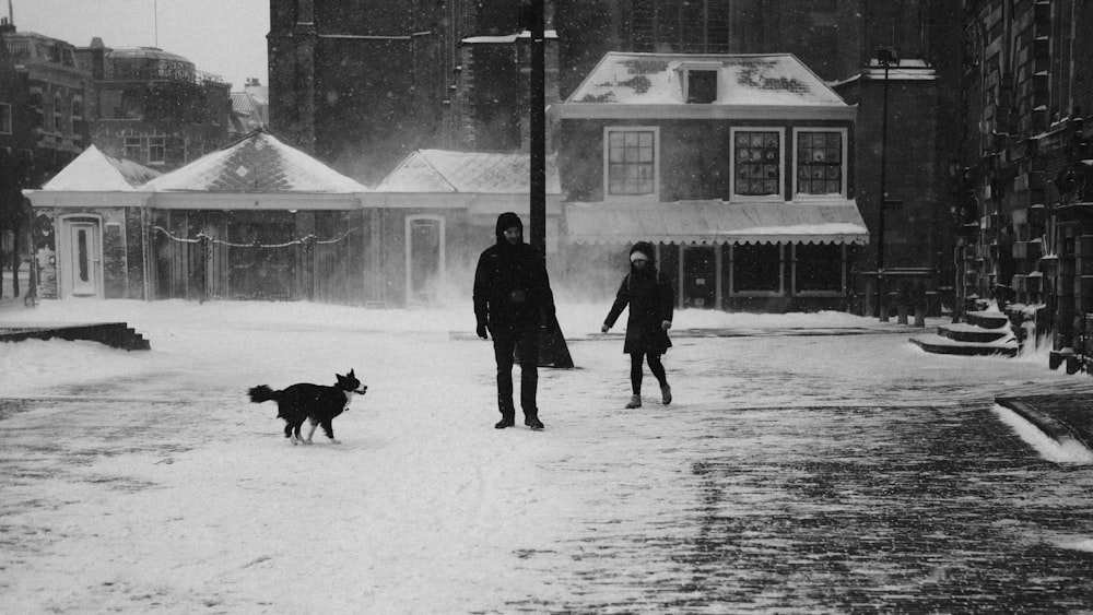 homem em casaco preto que caminha com o cão preto no chão coberto de neve