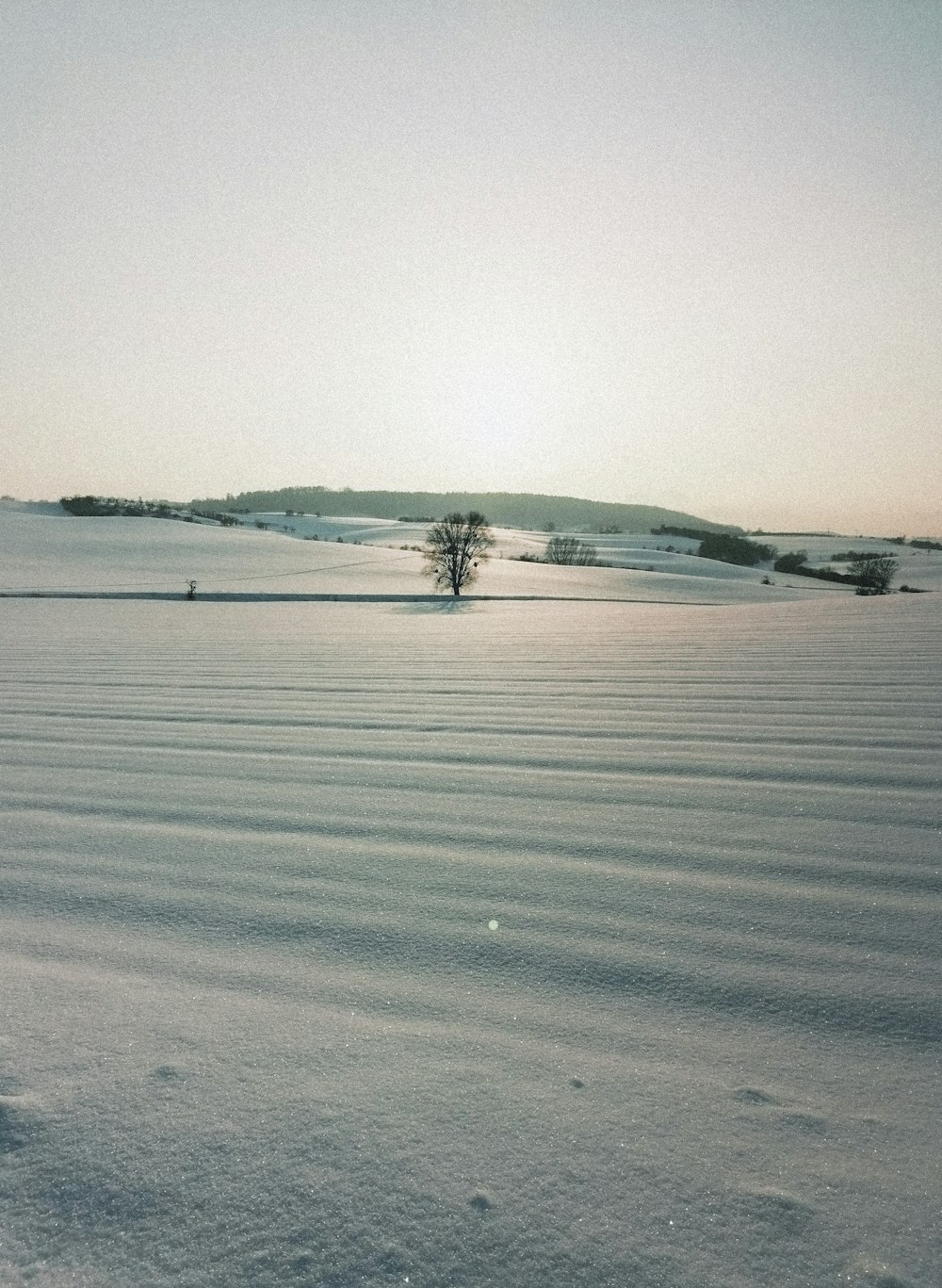 campo coberto de neve durante o dia