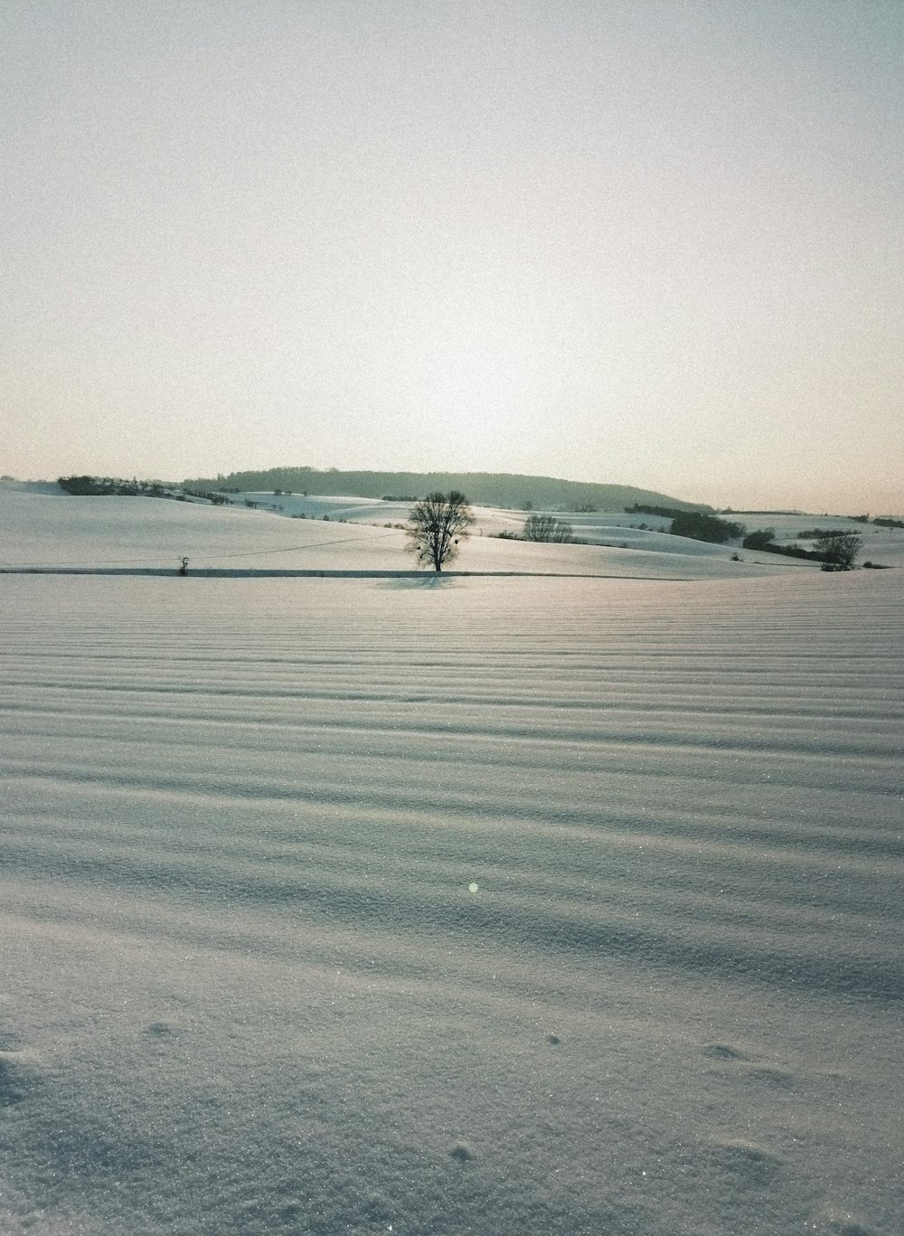 snow covered field during daytime