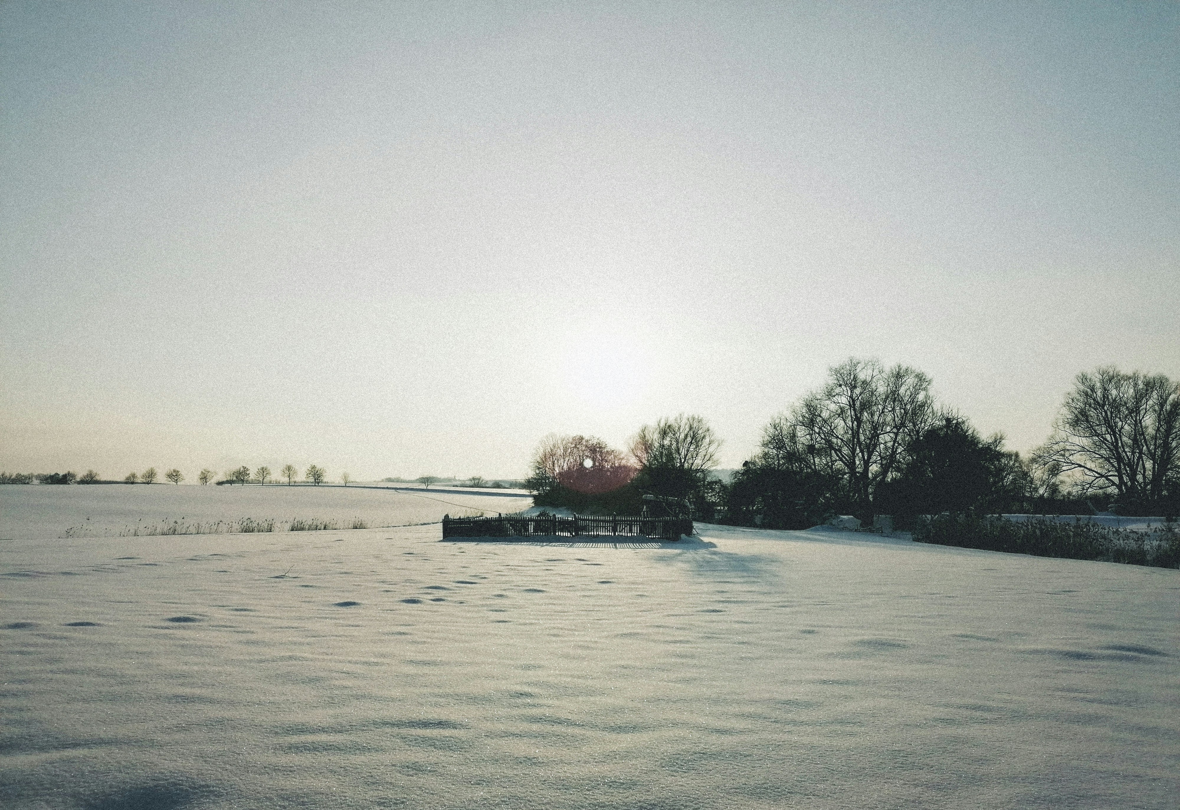 Photo by sindy_suessengut