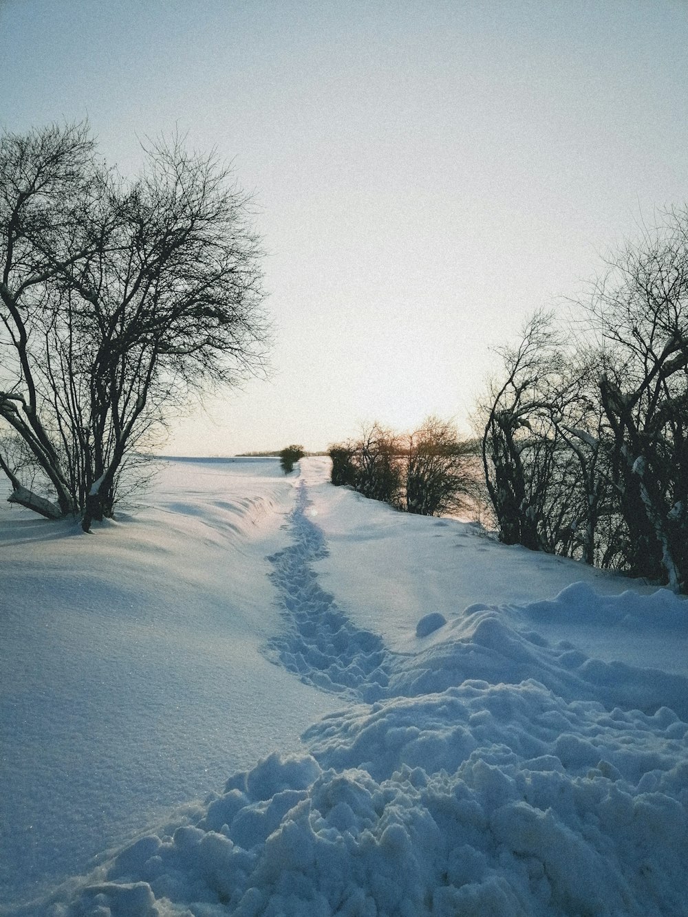 campo coberto de neve com árvores nuas durante o dia