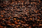 brown and black coffee beans