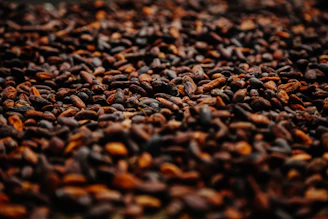 brown and black coffee beans