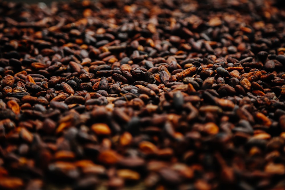 茶色と黒のコーヒー豆