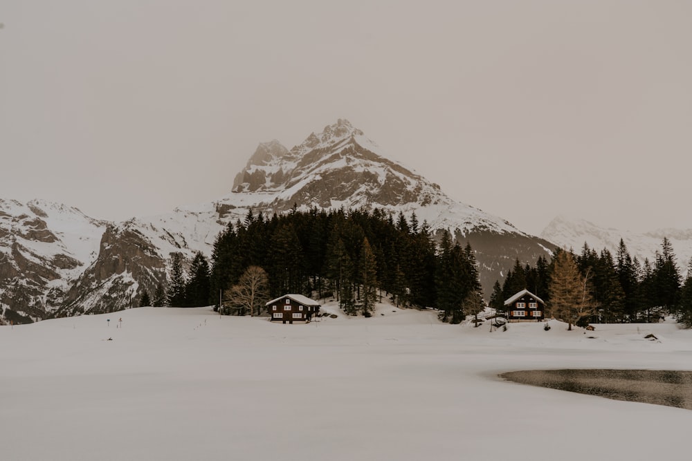 snow covered mountain during daytime