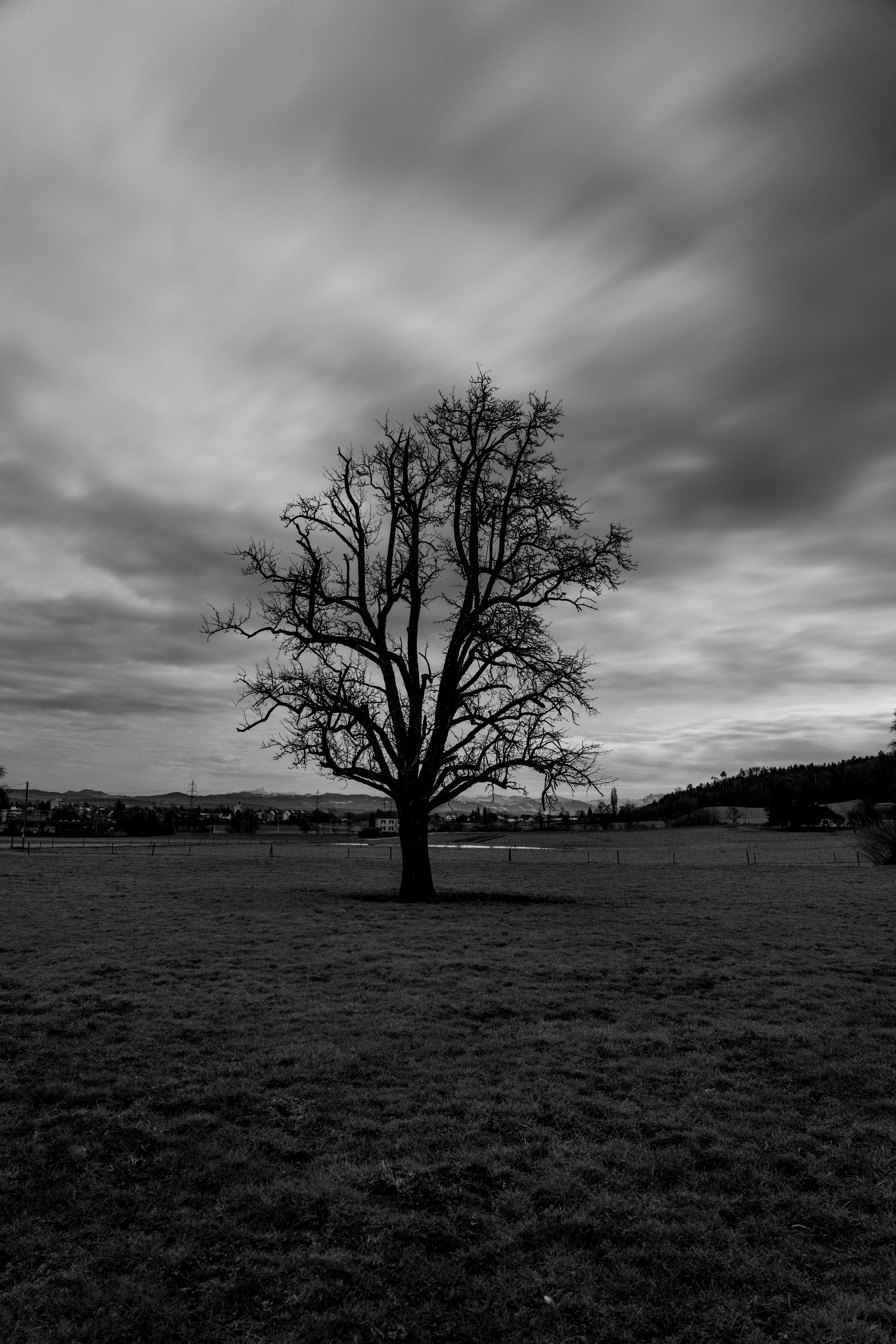 Photo by purzlbaum