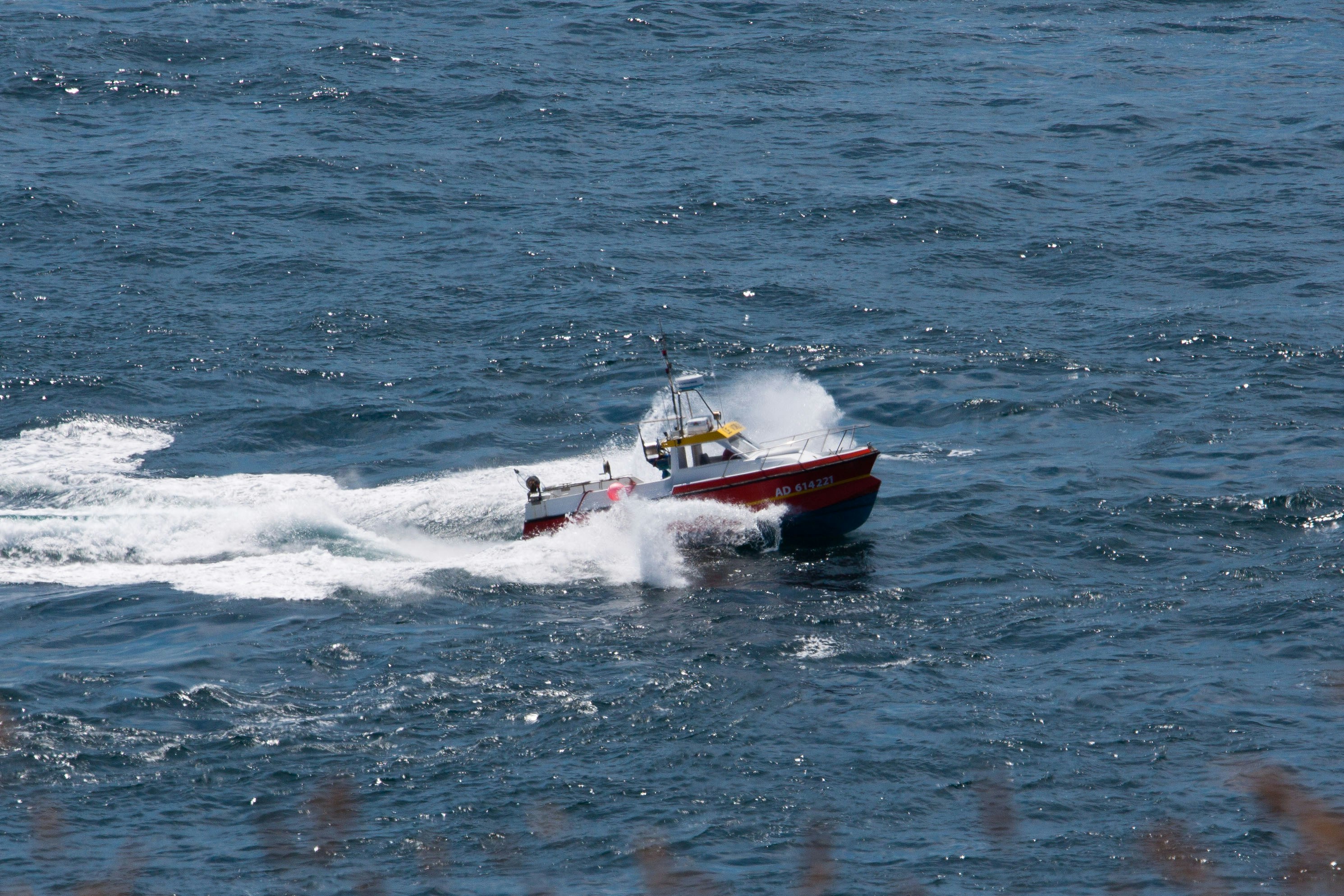 red and white boat on sea during daytime