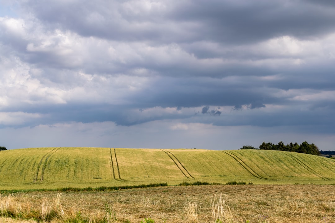 green grass field under cloudy sky during daytime