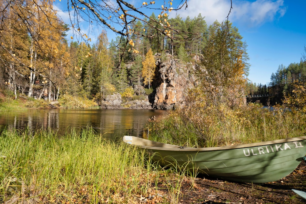 brown canoe on green grass near lake during daytime