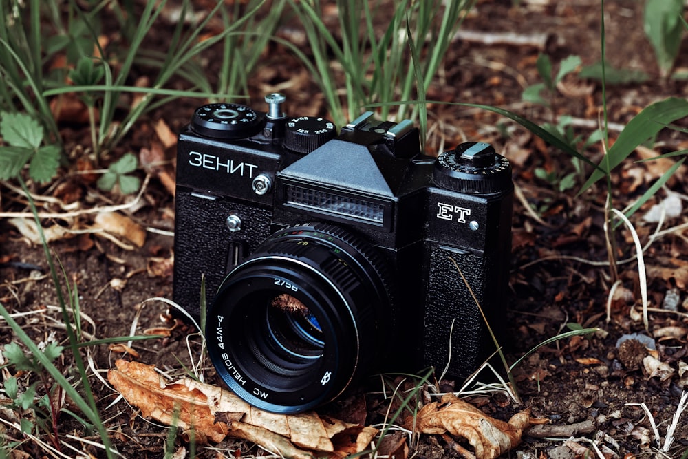 black and silver nikon dslr camera on brown dried leaves