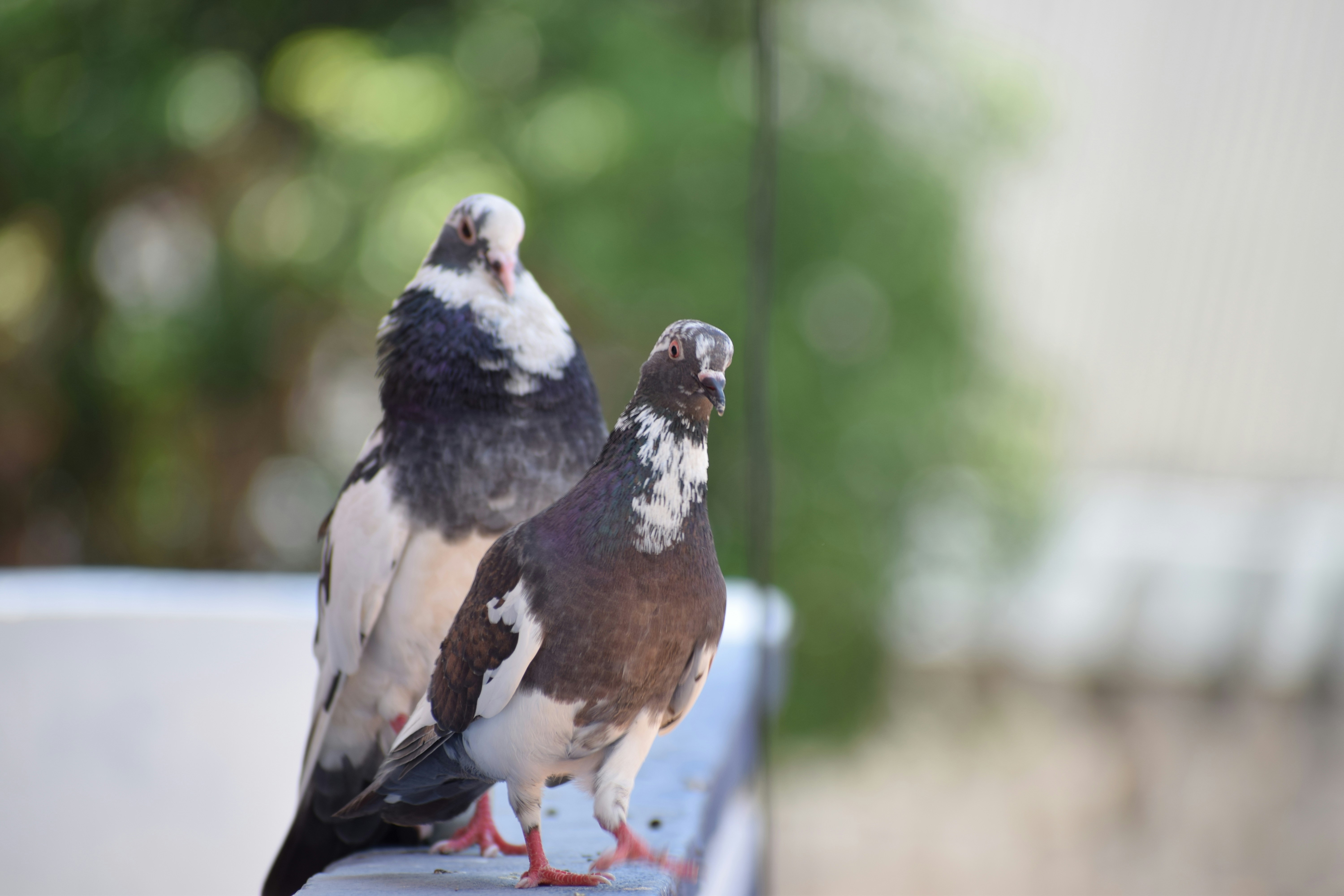 Photo by maruthikondagadupula