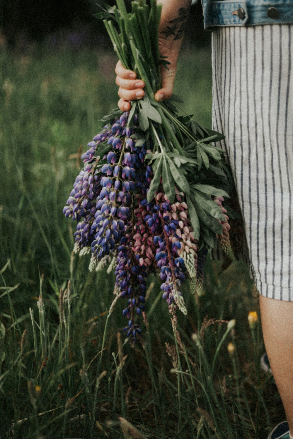 person holding purple flower bouquet