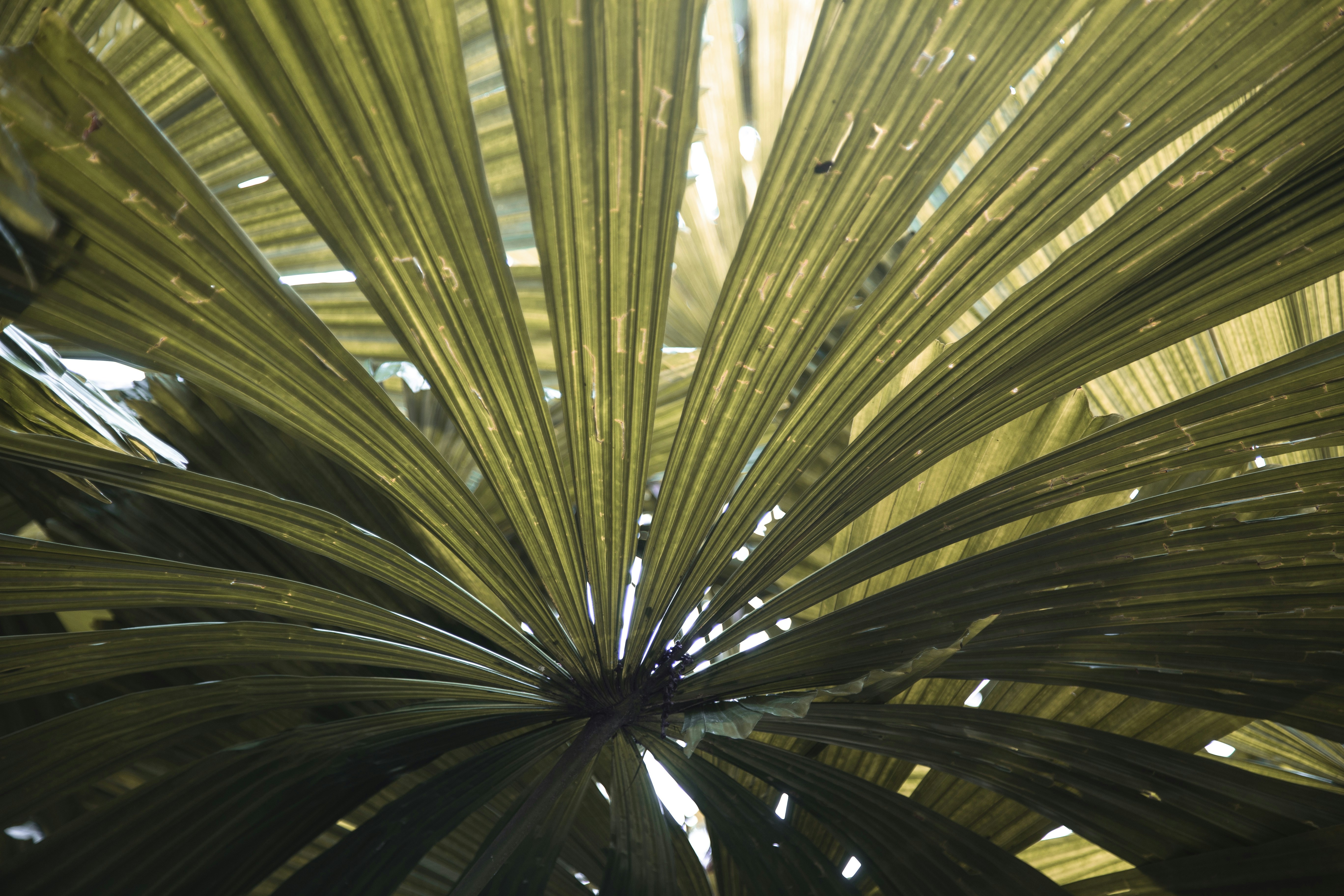 Photo by milada_vigerova