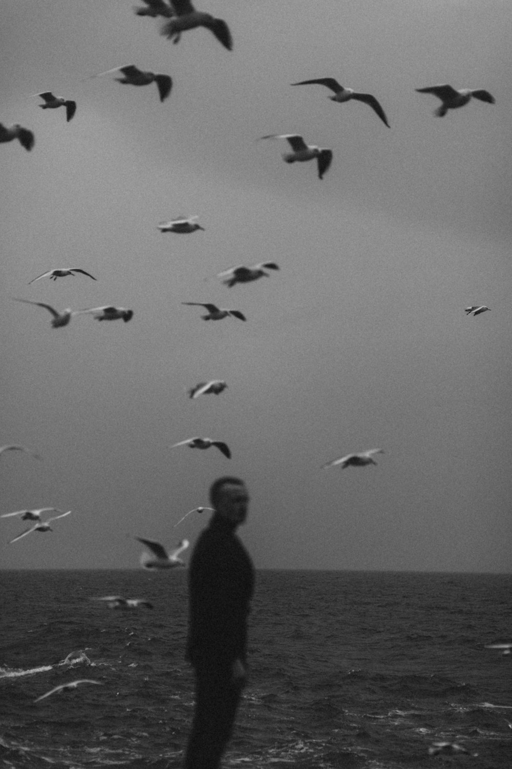 silhouette of man standing on seashore with birds flying