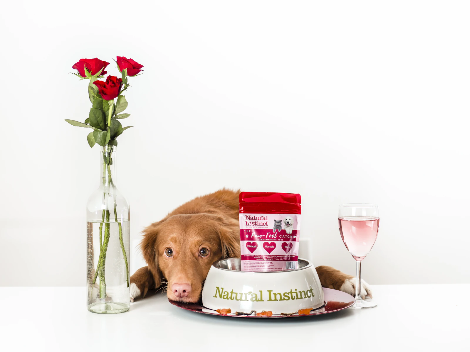 Essential Puppy Starter Kit Items for New Owners
